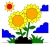 sunflower.webp